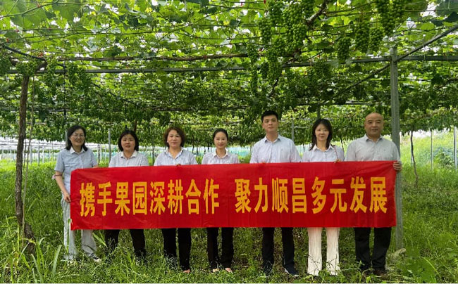 优德88(中国区)最新官方网站