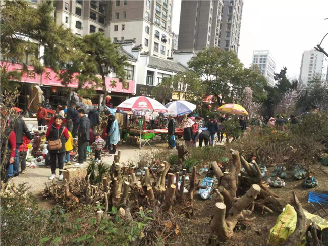 优德88(中国区)最新官方网站